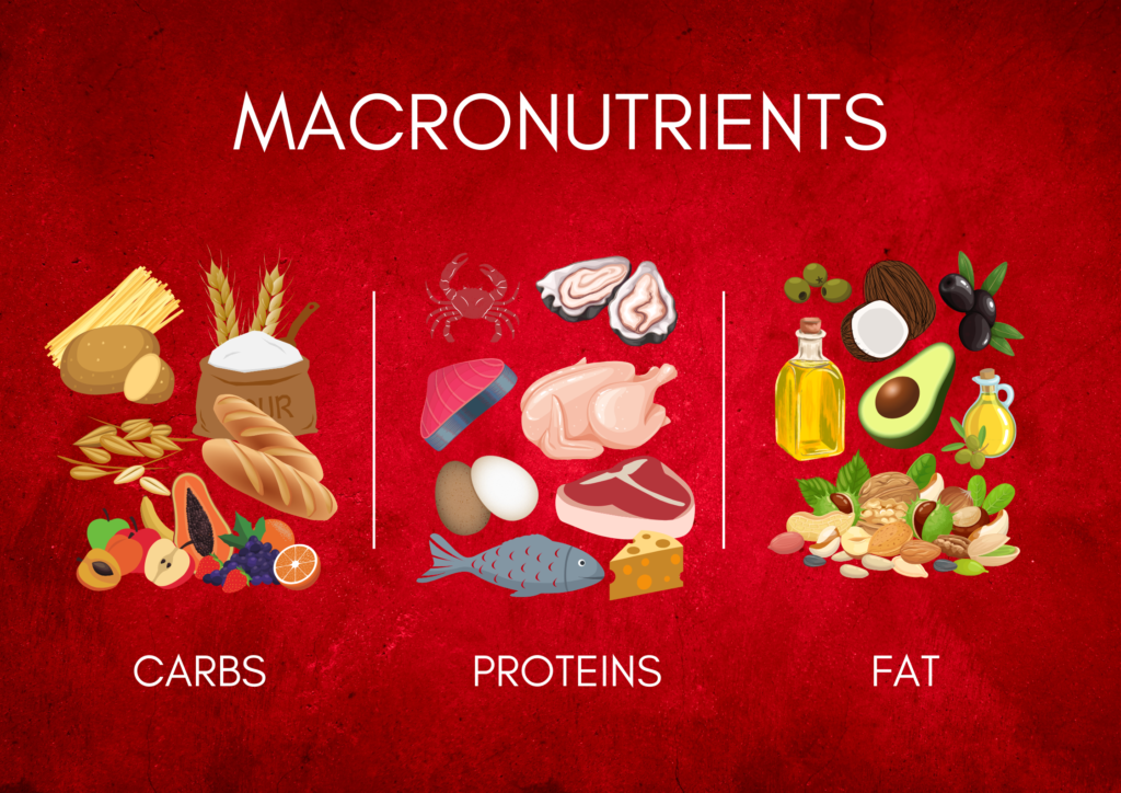 Minimalist Food Macronutrients Landscape Poster